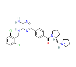 2D structure of the orthosteric ligand