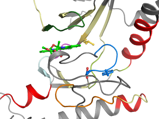 The orthosteric binding pocket