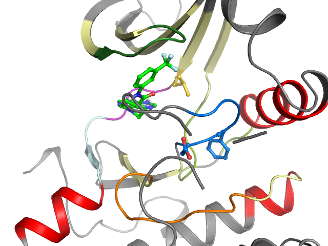 The orthosteric binding pocket