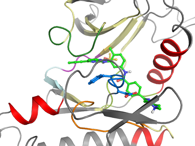 The orthosteric binding pocket