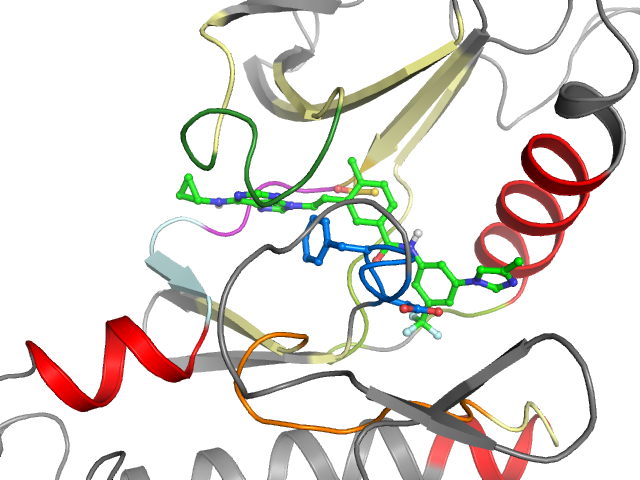 The orthosteric binding pocket